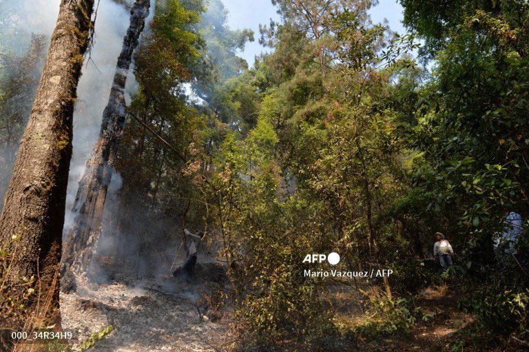 Hoy fuimos a documentar, para el servicio internacional de noticias de @AFP, el trabajo que realizan los brigadistas voluntarios que luchan por controlar los incendios forestales registrados en la región de Valle de Bravo; las imágenes en Pinal de Marquesado; Otzoloapan.