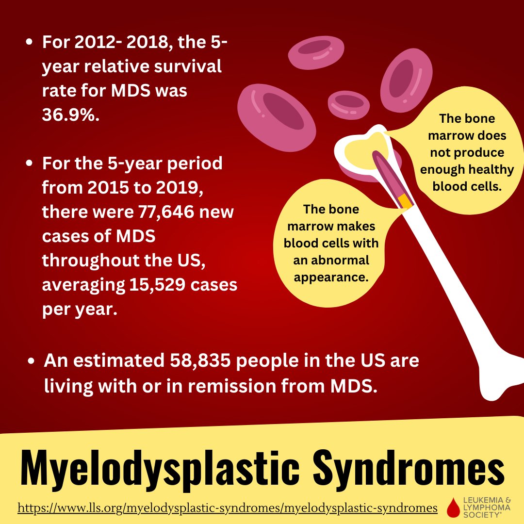 Mission Monday! In this week’s Survivor Stories, we highlight Benjamin Rubenstein, who battled cancer TWICE!  Ben's second diagnosis was Myelodysplastic Syndrome (MDS), sometimes a precursor to AML. pages.lls.org/voy/nca/dcmetr… 
#LLSVisionaries #CancelBloodCancer #RelentlessLEIGH