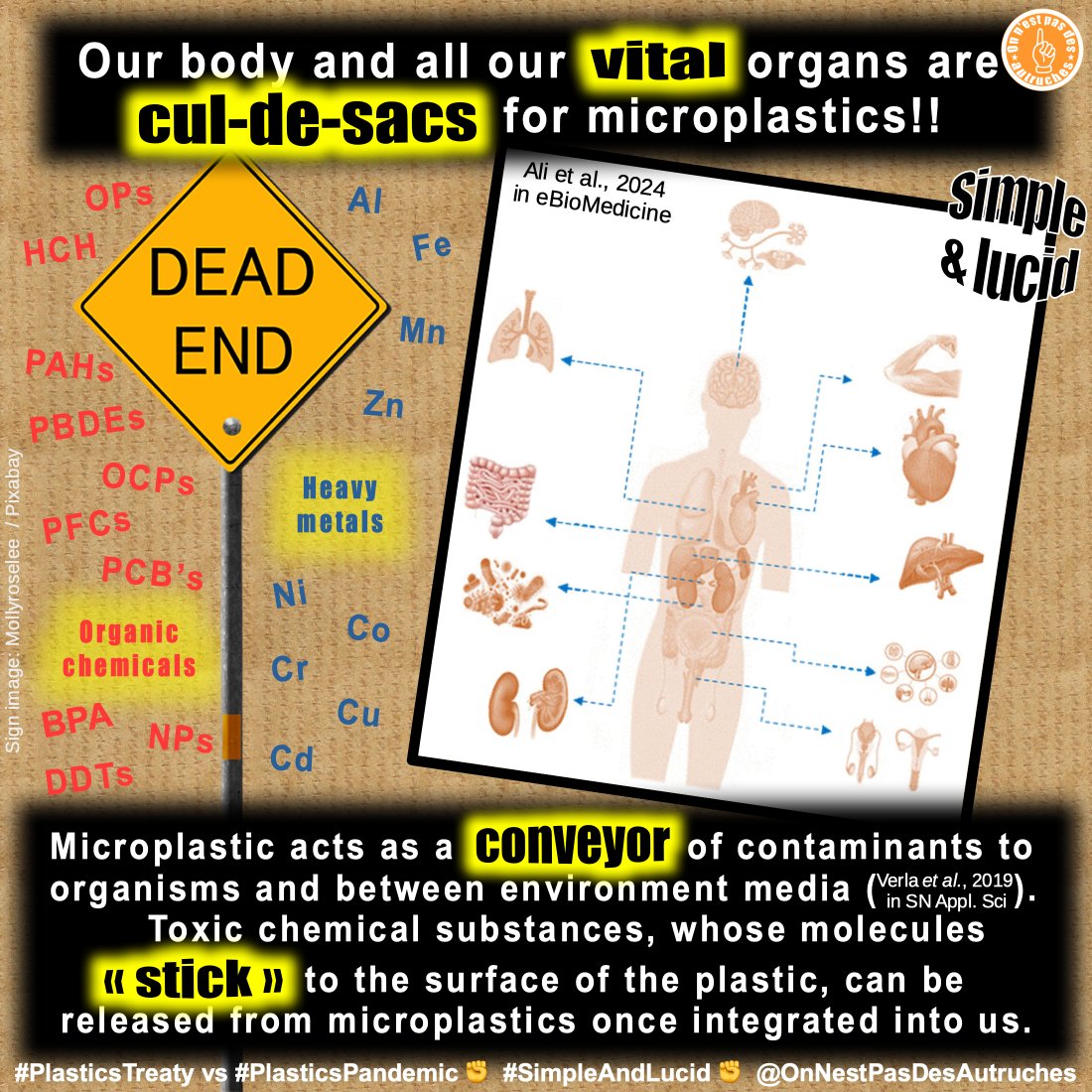 Our body and almost all our vital organs are cul-de-sacs for #microplastics and #nanoplastics!! And these particules of #plastics act as conveyors of contaminants to organisms and between environment media. Toxic chemical substances (organic chemicals, heavy metals,...), whose…