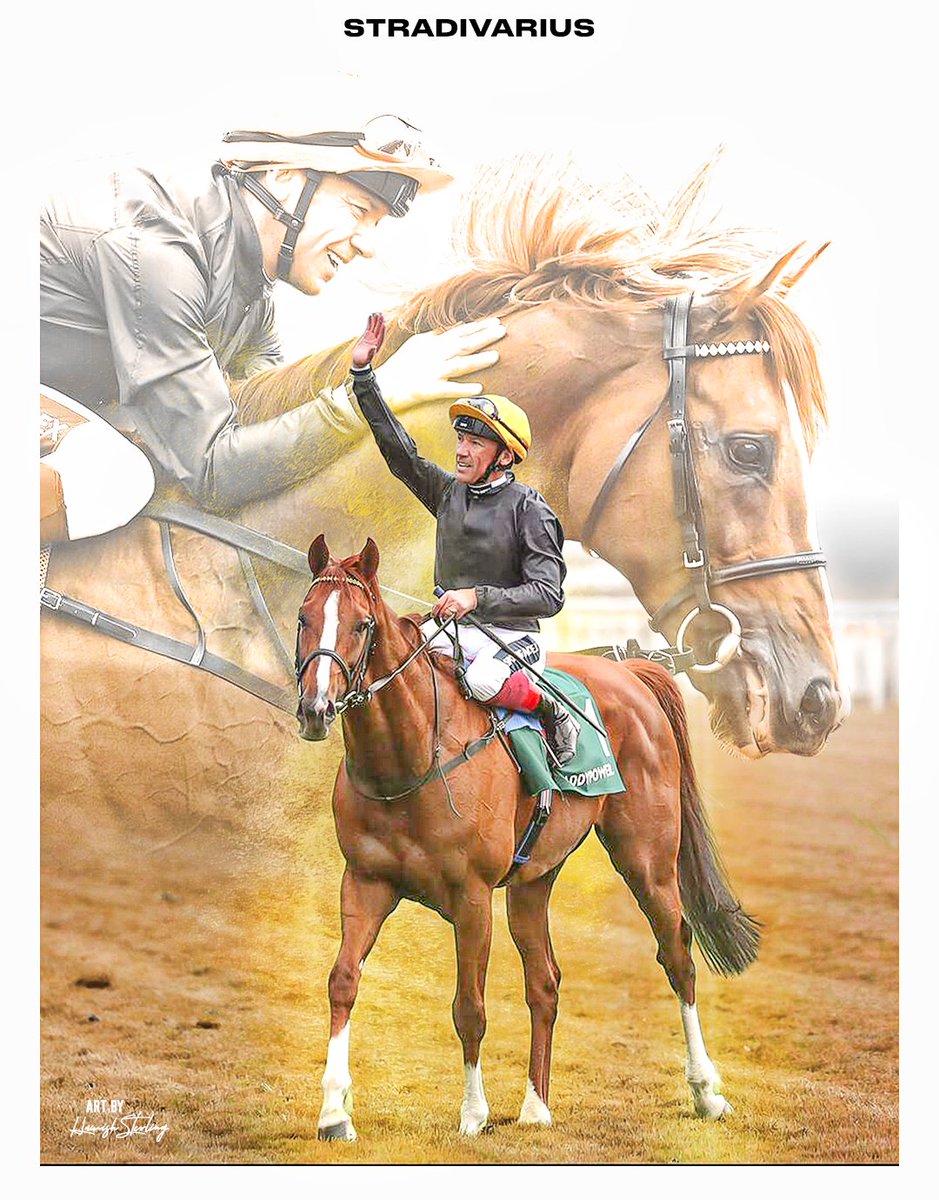 Now is the time we need to work together! I make horse racing graphics. I can make them for you too. DM me today.