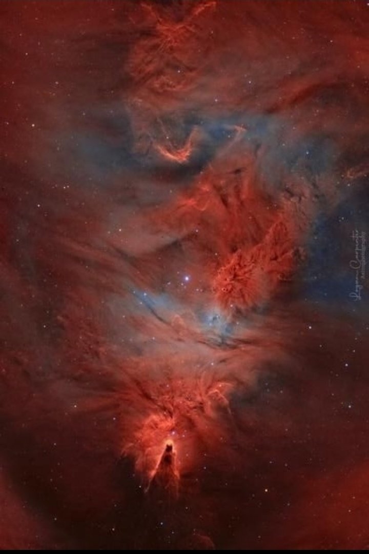 The Cone and Fox Fur Nebulas (Logan Carpenter) - AstroBin astrobin.com/nlcxd7/B/