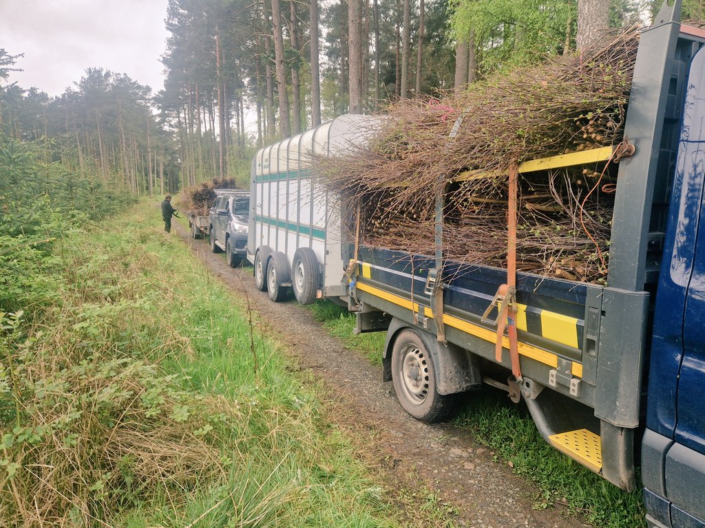 Birch cutters have been busy the past few weeks. Getting ready for jumps season 24/25.👌