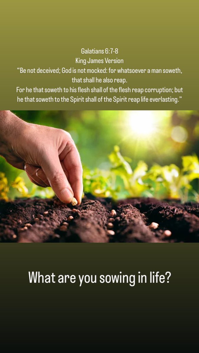 Galatians 6:7-8-KJV “Be not deceived; God is not mocked: for whatsoever a man soweth, that shall he also reap. For he that soweth to his flesh shall of the flesh reap corruption; but he that soweth to the Spirit shall of the Spirit reap life everlasting.“ Have a blessed day🥰