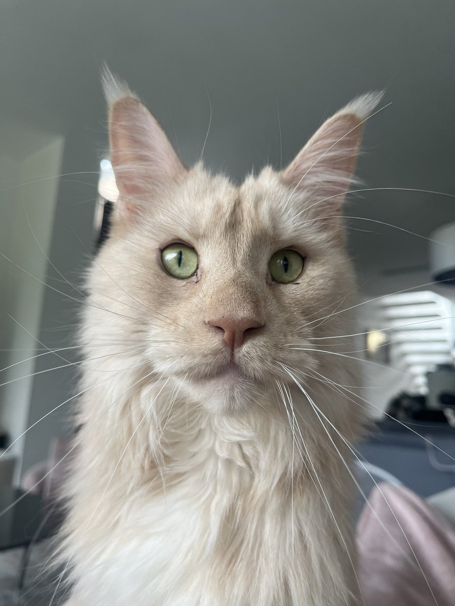 Fijne dinsdag iedereen 😘