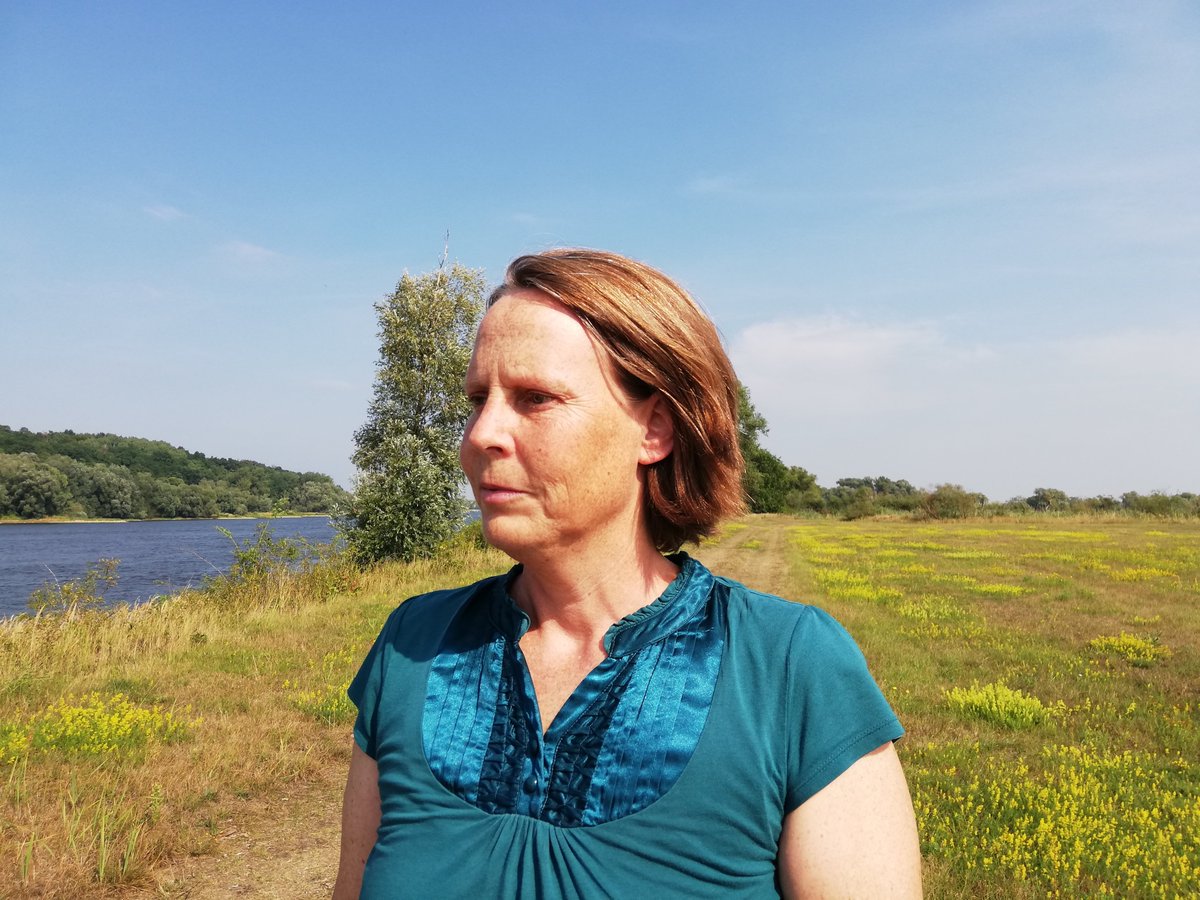Species-rich grasslands are heroes for biodiversity and carbon sequestration. @temperton_vicky researches them and asks us to see their value more. Read the interview here: ideas4sustainability.wordpress.com/2024/05/06/a-s…