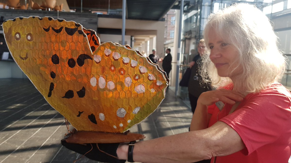Many organisation in the neuadd today for the Senedd biodiversity event. They have brought lots of display items to look at on their stands. This butterfly is only found in the Vale. #biodiversity @SeneddWales @SeneddClimate @WGClimateChange @WGRura