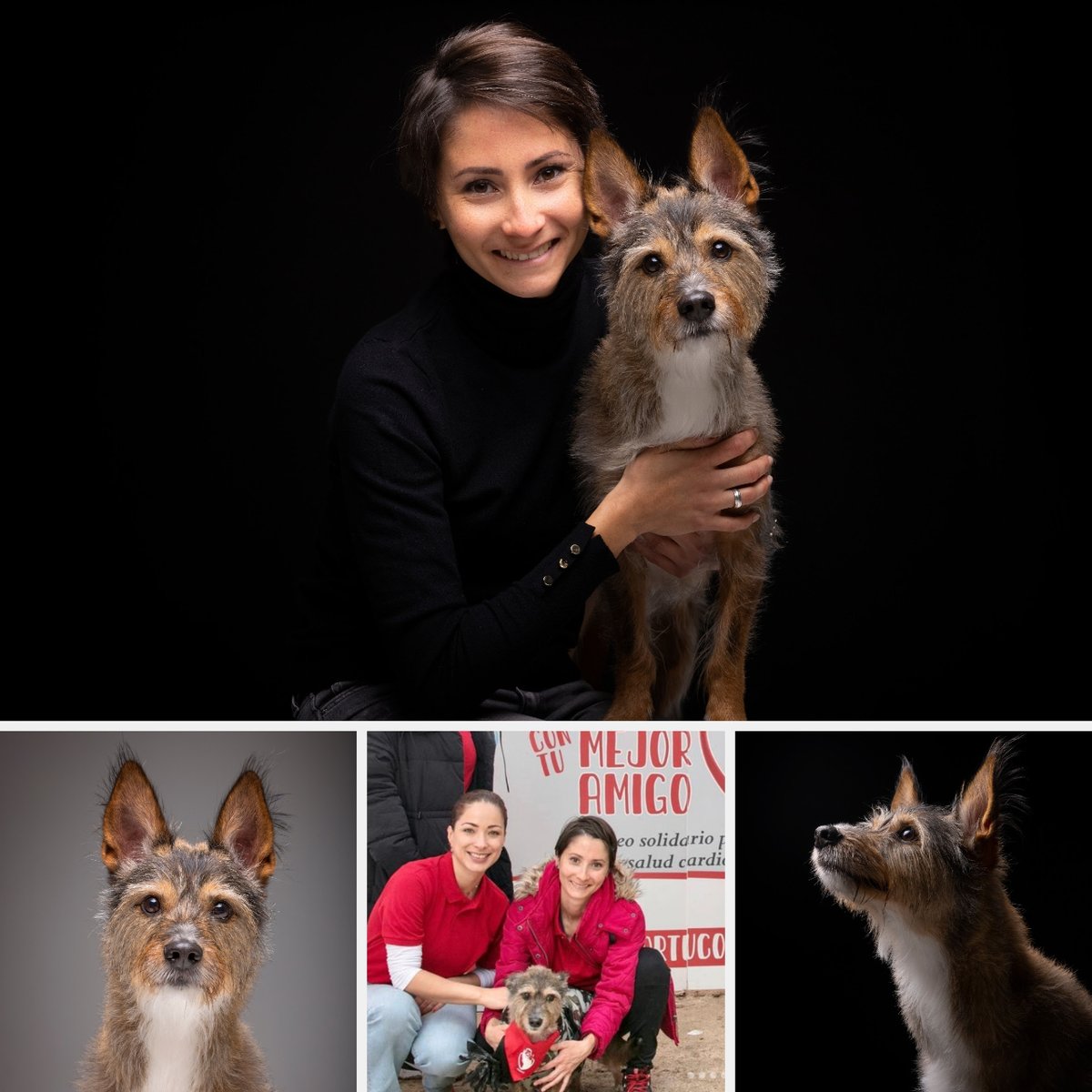 💖 Participa en el sorteo por una sesión de fotos con tu mejor amigo en el estudio del fotógrafo y adiestrador de perros, Emilio Cuenca. <a href="/fotografoperros/">elfotografodeperros</a>  🐕🐶🐕‍🦺

📷✨Envíanos una foto divertida con tu mejor amigo y participa en el concurso aquí: shorturl.at/hD367