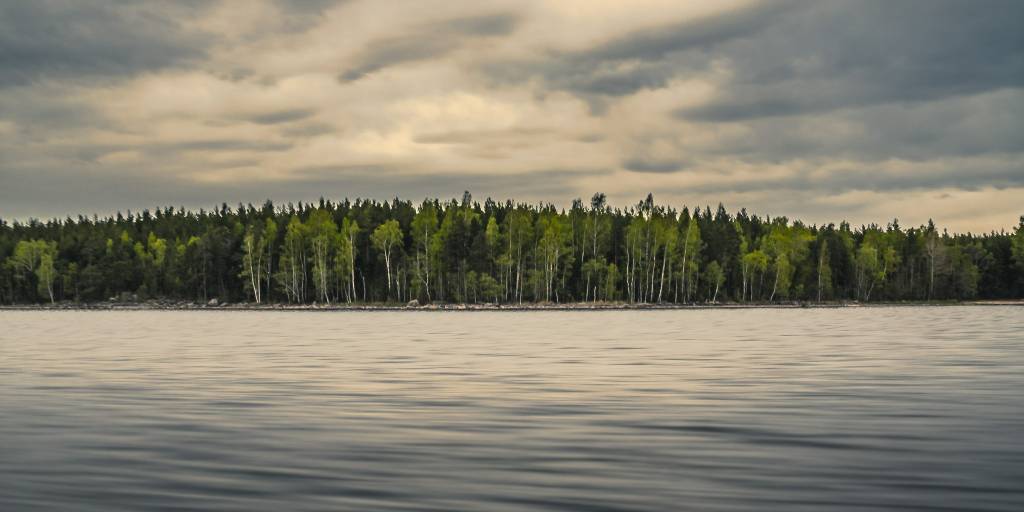 Etelä-Karjalassa jaetaan tänä vuonna uusi ympäristöpalkinto. 💚 ➔ Lue lisää ja jätä oma ehdotuksesi viimeistään 16.6. @ekkauppakamari Etelä-Karjalan kauppakamarin sivustolla: etela-karjalankauppakamari.fi/ymparistopalki… #unilut