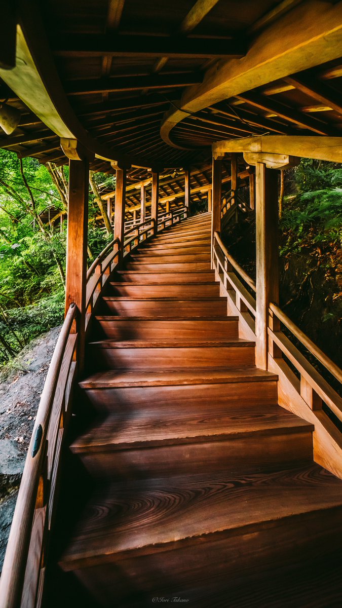 日本が世界に誇れる木造建築曲線美。