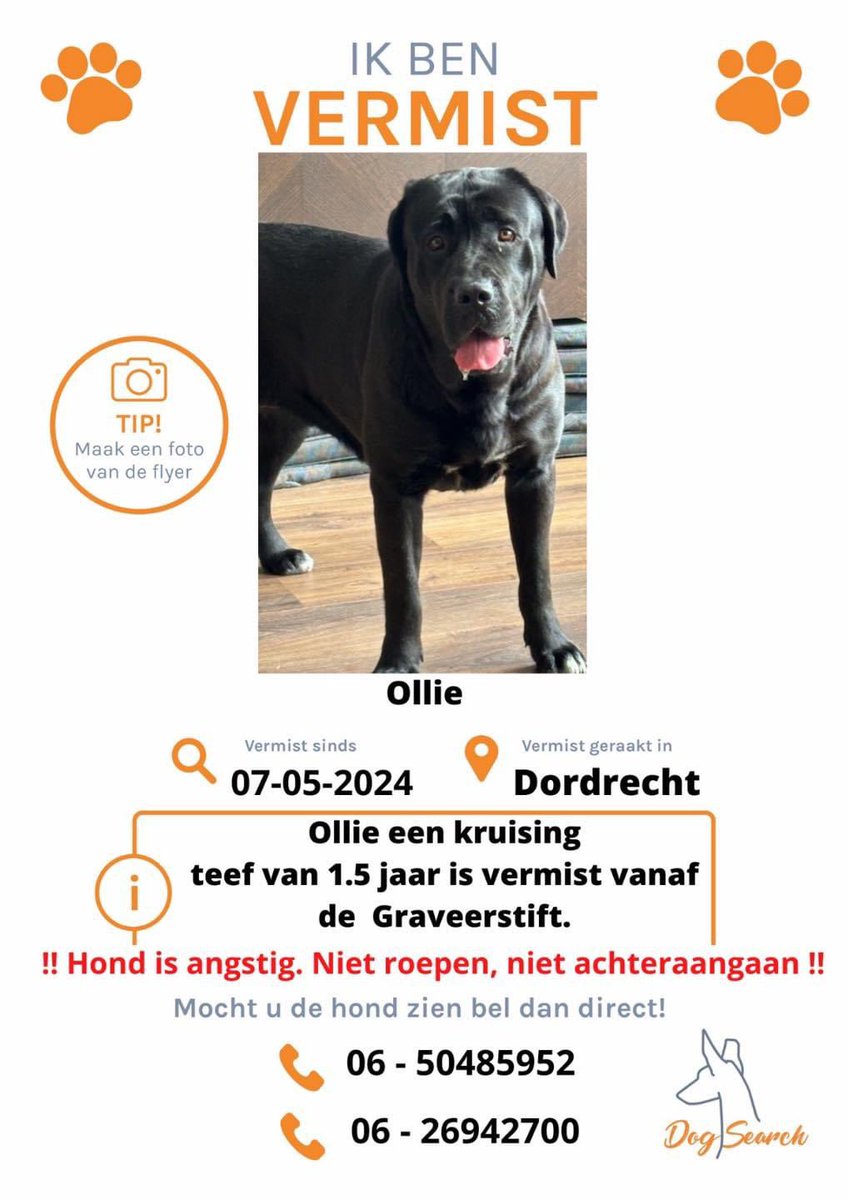 DogsearchNL's tweet photo. โผ๏ธ#VERMISTโผ๏ธ #Ollie is een #Kruising #NewFoundlader/ #CaneCorso #Teefje van #1,5jaar.
Vermist geraakt vanaf de #Graveerstift in #Dordrecht vanaf #7mei. โผ๏ธOllie is heel bang voor mensenโผ๏ธMocht u Ollie zien, aub niet roepen of achterna gaan, bel รฉรฉn van de nummers op de flyerโผ๏ธ https://t.co/ql7QeINrmE