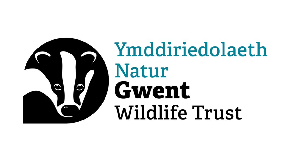 Nature Recovery Officer with @GwentWildlife in #Pontypool Visit ow.ly/2Z7t50RqFgw Apply by 27 May 2024 #TorfaenJobs #SEWalesJobs #NatureJobs