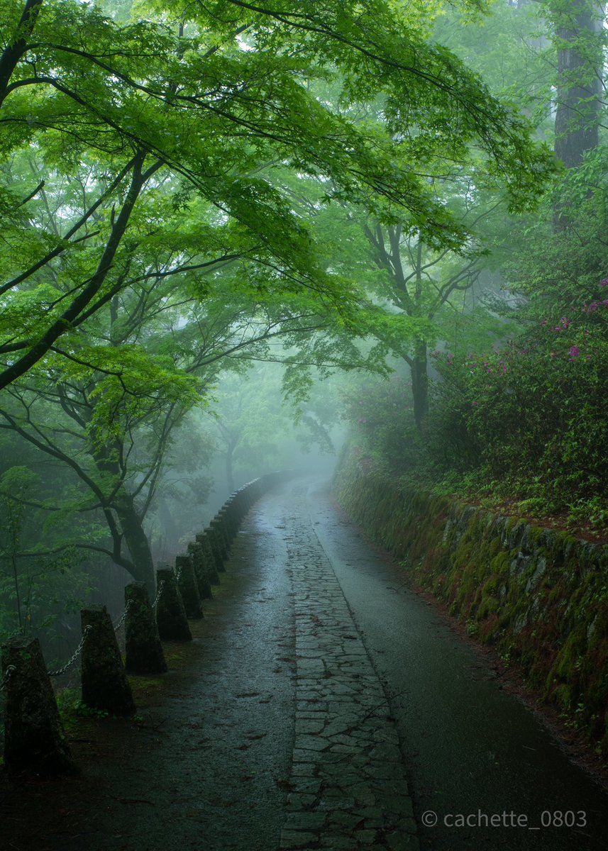 雨の高城山展望台