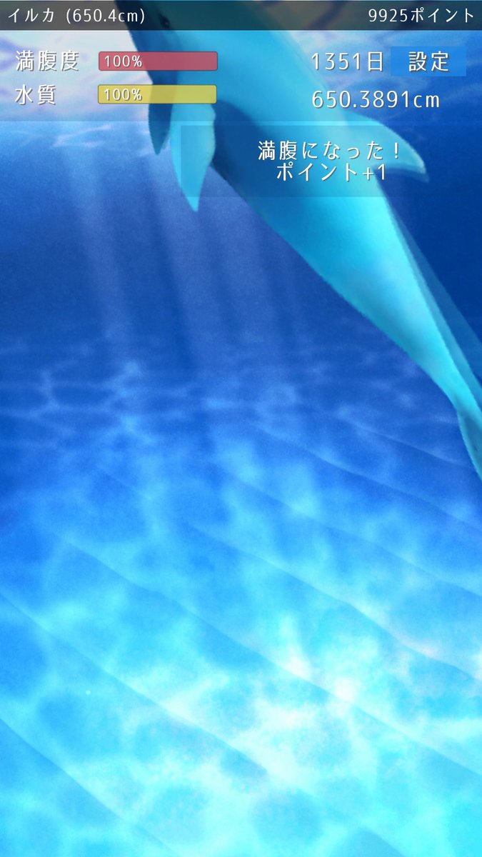 イルカが650.38cmに成長しました。#イルカ育成 bit.ly/2fa52J3