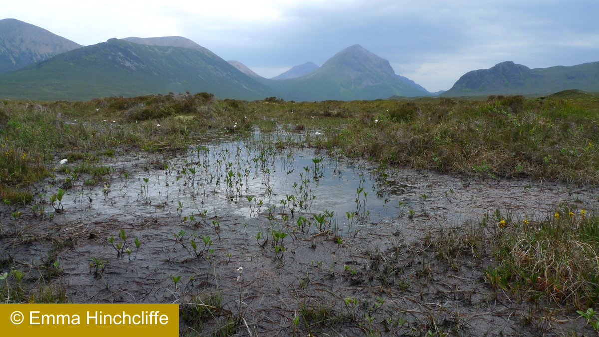 Our Programme Manager @JaneAkerman will be giving an update on Eyes on the Bog at the @WaterLANDS_EU and @PeatDataHub 'Peatlands Monitoring Community of Practice: Data Standards Workshop' at the University of Leeds on Thursday 23 May. Find out more 👇 iucn-uk-peatlandprogramme.org/events/peatlan…