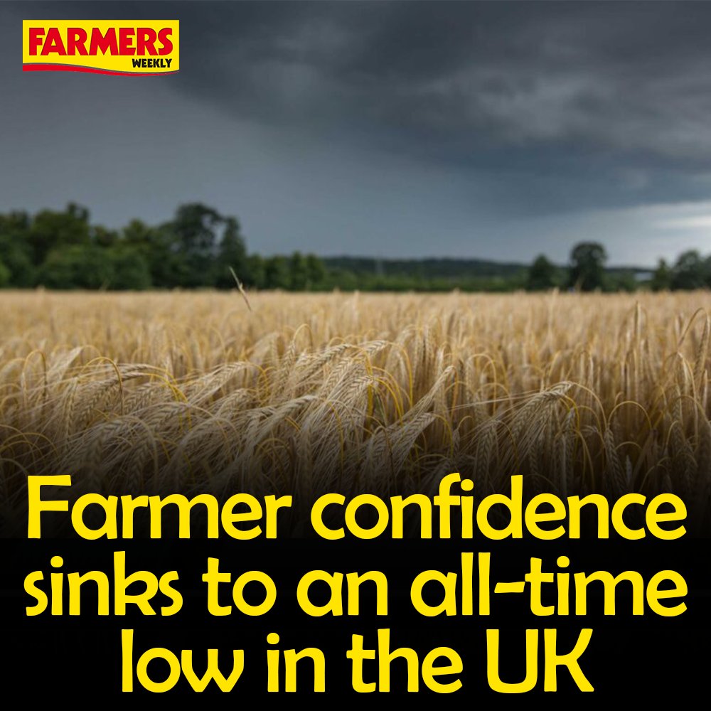 🌧️ @NFUtweets is urging Defra to call a halt to the phase-out of the Basic Payment Scheme in England for 2024 in the wake of an ongoing crisis of confidence in the farming sector. READ MORE: fwi.co.uk/business/halt-…