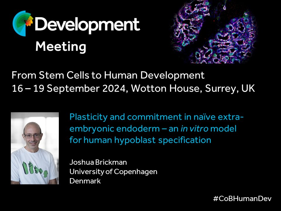 Joshua Brickman @josh_brickman will be speaking at our Journal Meeting in September. View the programme, submit an abstract and register at biologists.com/meetings/human… #CoBHumanDev Abstract submission deadline: 21 June 2024