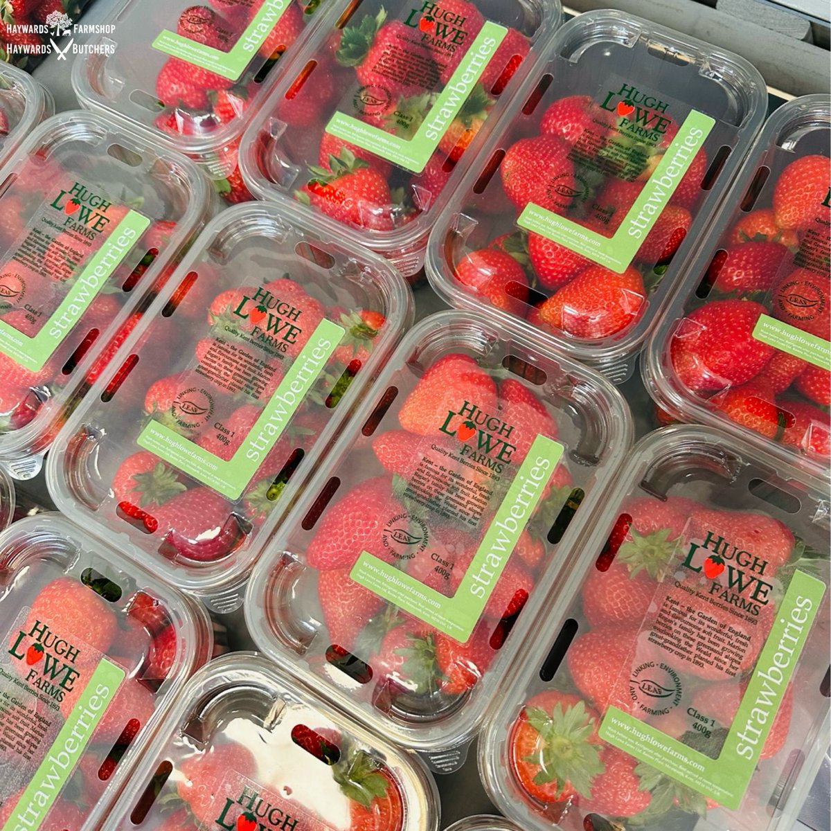 🍓Taste the sweetness with our locally sourced strawberries, harvested less than a mile away from our farmshop! Grown with care & bursting with flavour, these juicy delights are a true seasonal treat! #LocalStrawberries #FarmFresh #SupportLocal #Farmshop #Tonbridge #Haywards1990