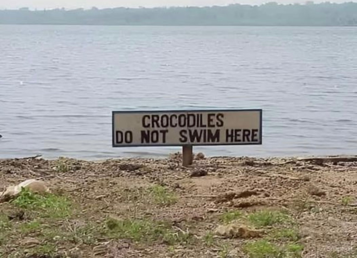 Did a crocodile write this?