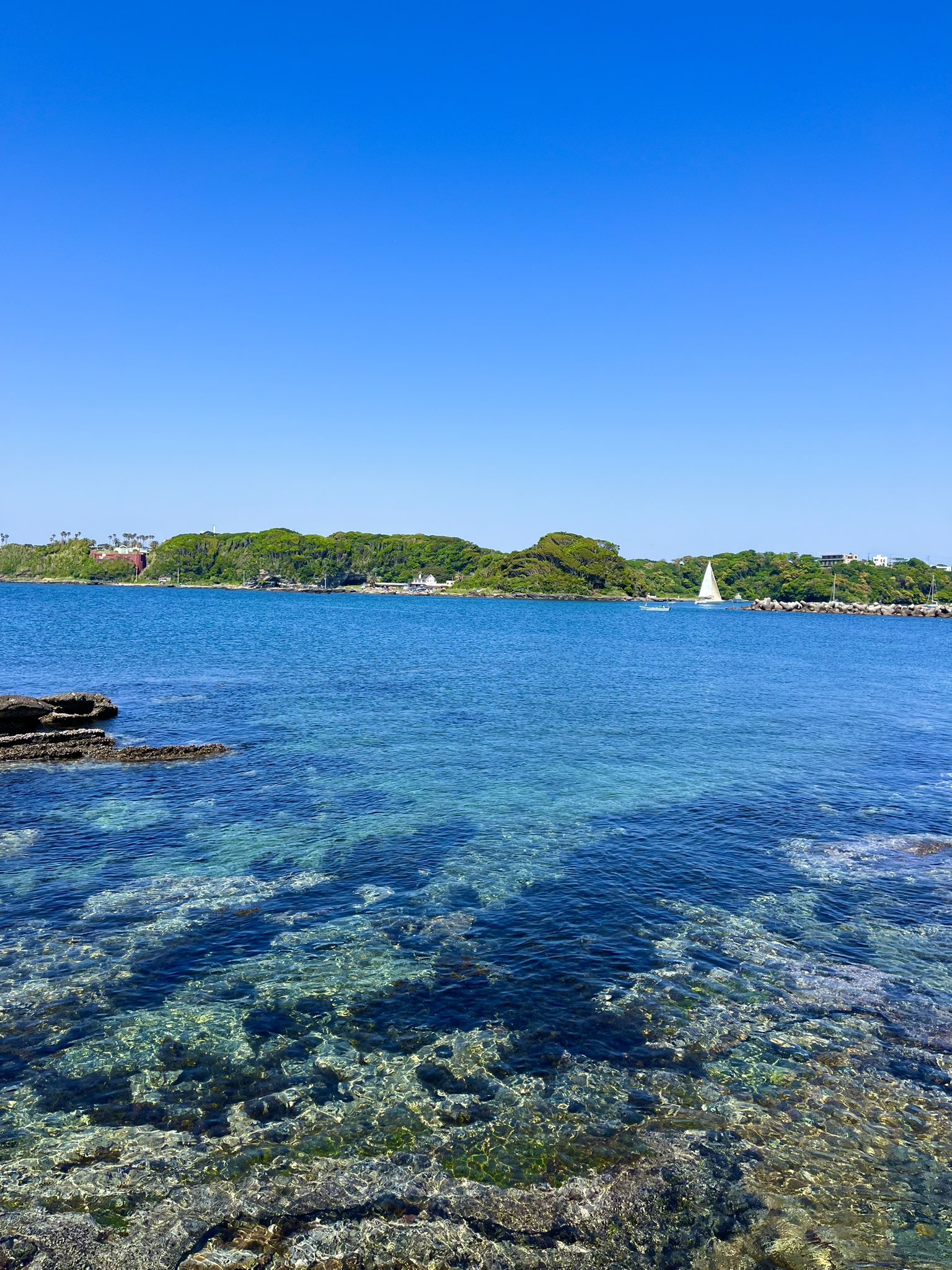 三浦半島フィールドノート 野歩き・海遊びのススメ | 書籍情報
