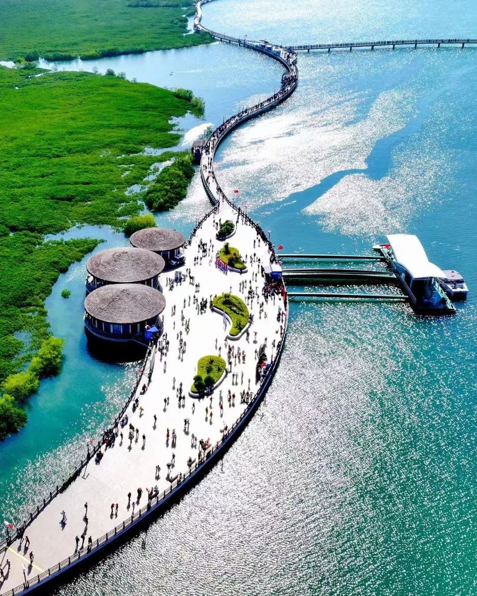 The narrow boardwalk at Xiatanwei Mangrove Park stretches into the sea, showing a vibe of tropical islands. As you walk along, you’ll see lush mangroves and vast mudflats around. Sometimes, you might even spot egrets hunting for food in the sand. #VisitXiamen #CozyisXiamen