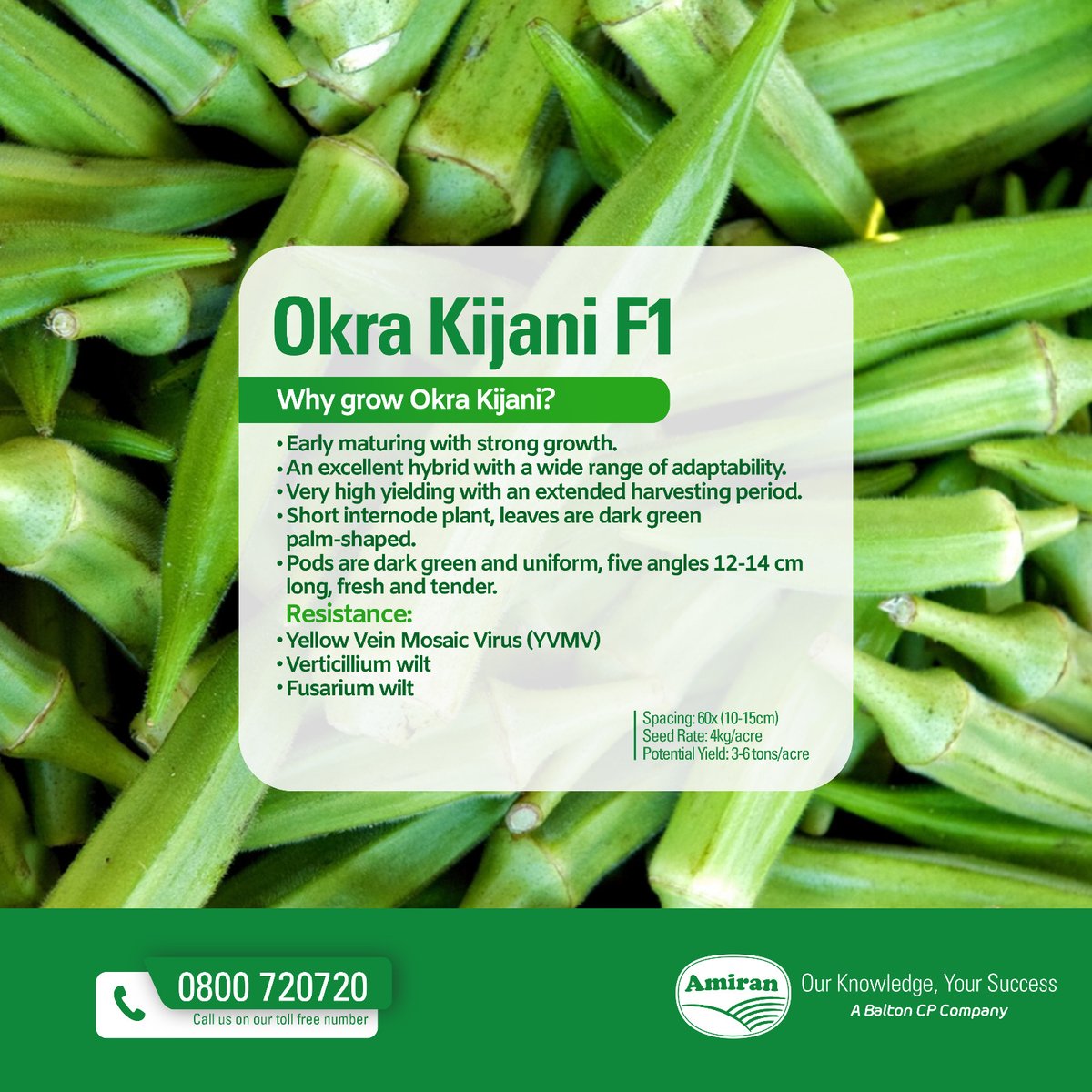 Tunauza mbegu za OKRA. Mbegu ni OKRA KIJANI F1.