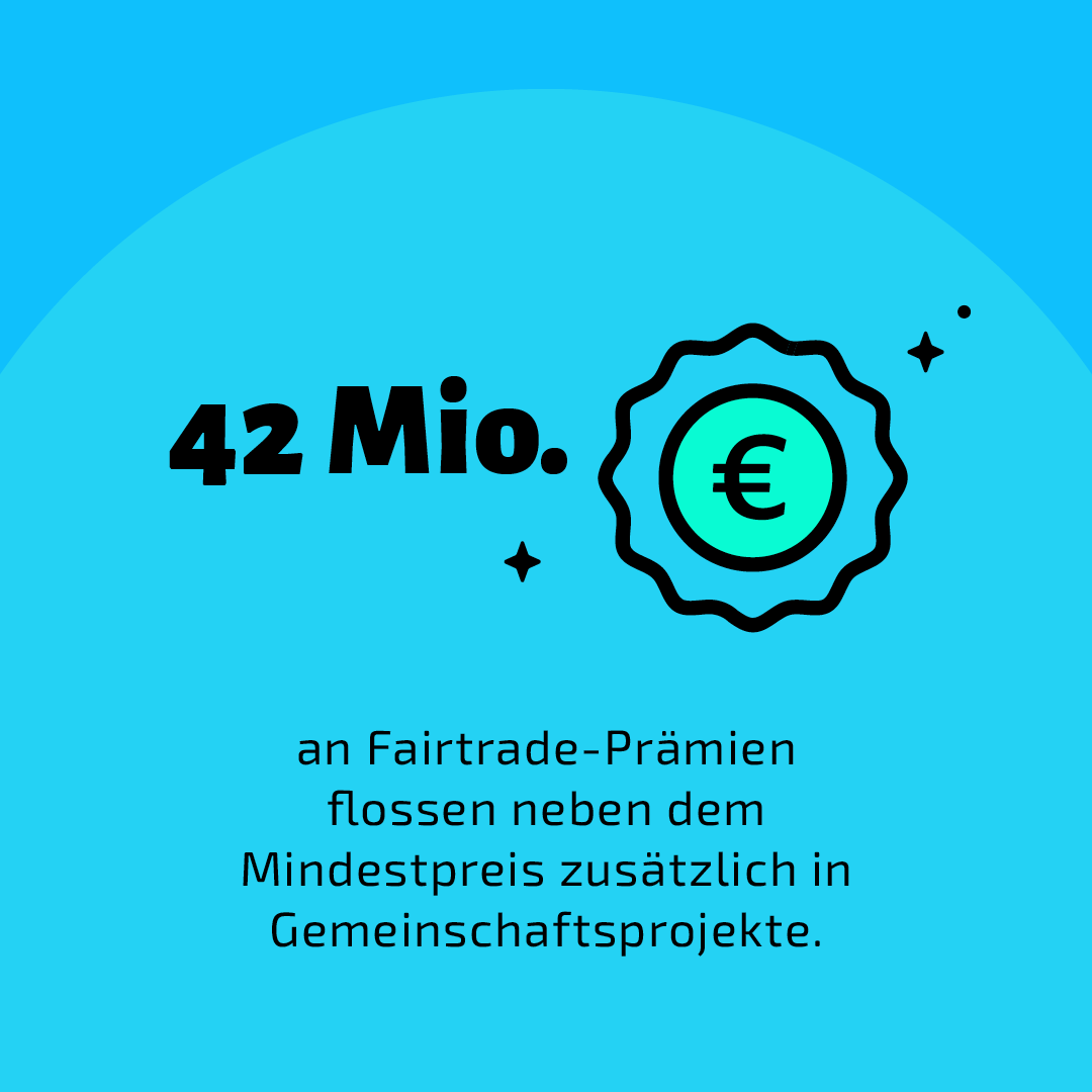 Organisationen profitieren durch #Fairtrade von finanziellen Aufschlägen 💸 zusätzlich zum Verkaufspreis. Durch Absätze von fairen Produkten in Deutschland erwirtschafteten sie 2023 💰 42 Mio. Euro Fairtrade-Prämien für Gemeinschaftsprojekte. 👉 fairtr.de/laH