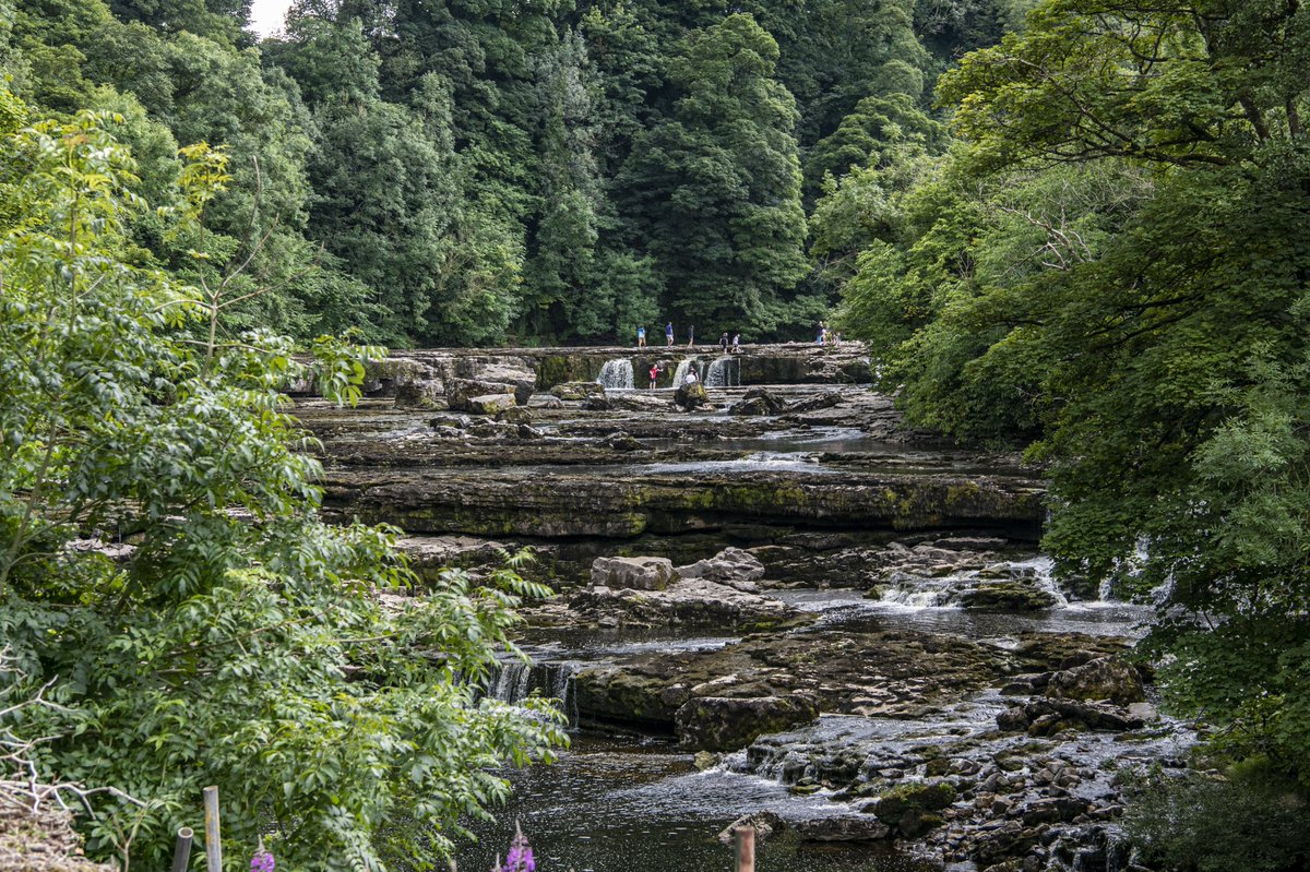 Grace Newton tweet media