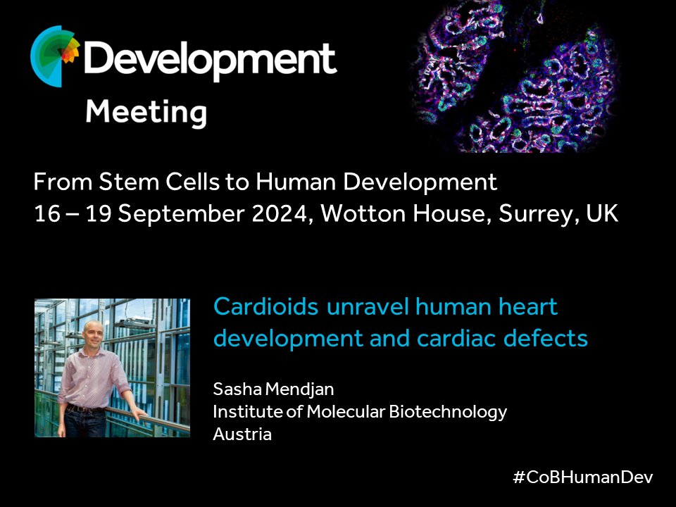 Sasha Mendjan @MendjanLab will be speaking at our #CoBHumanDev Journal Meeting in September. View the programme, submit an abstract and register at biologists.com/meetings/human… Abstract submission deadline: 21 June 2024