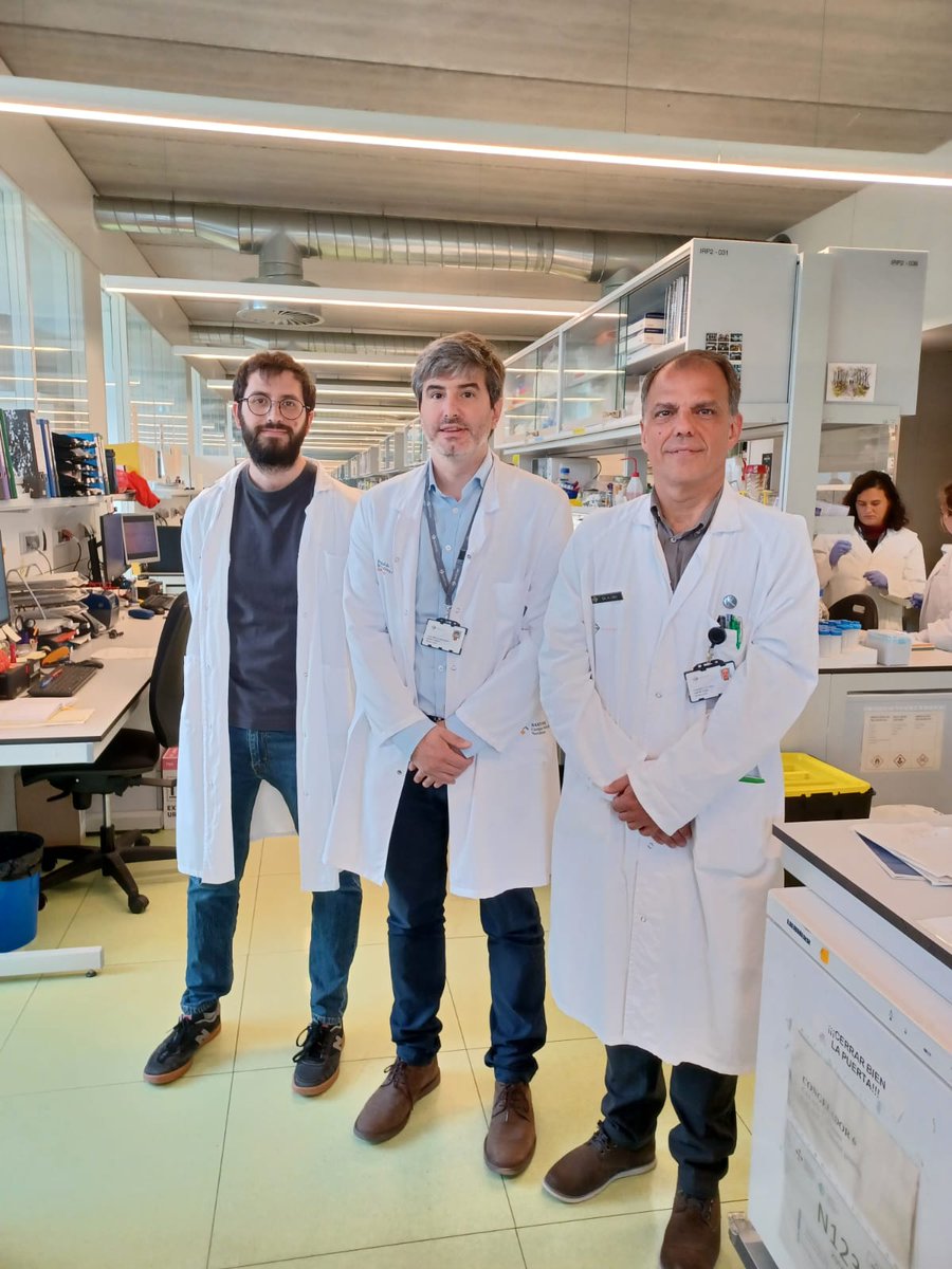 Investigadors de Sant Pau identifiquen una nova forma genètica de la malaltia d'#Alzheimer🧬  

L’estudi publicat a <a href="/NatureMedicine/">Nature Medicine</a> identifica que el 95% de les persones de més de 65 anys amb dues còpies del gen #APOE4 desenvolupen signes de la malaltia.

recercasantpau.cat/actualitat/inv…