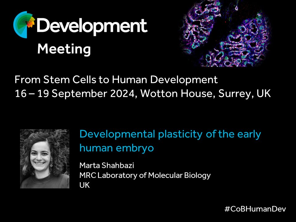 Marta Shahbazi @Marta_Shahbazi will be speaking at our #CoBHumanDev Journal Meeting in September. View the programme, submit an abstract and register at biologists.com/meetings/human… Abstract submission deadline: 21 June 2024