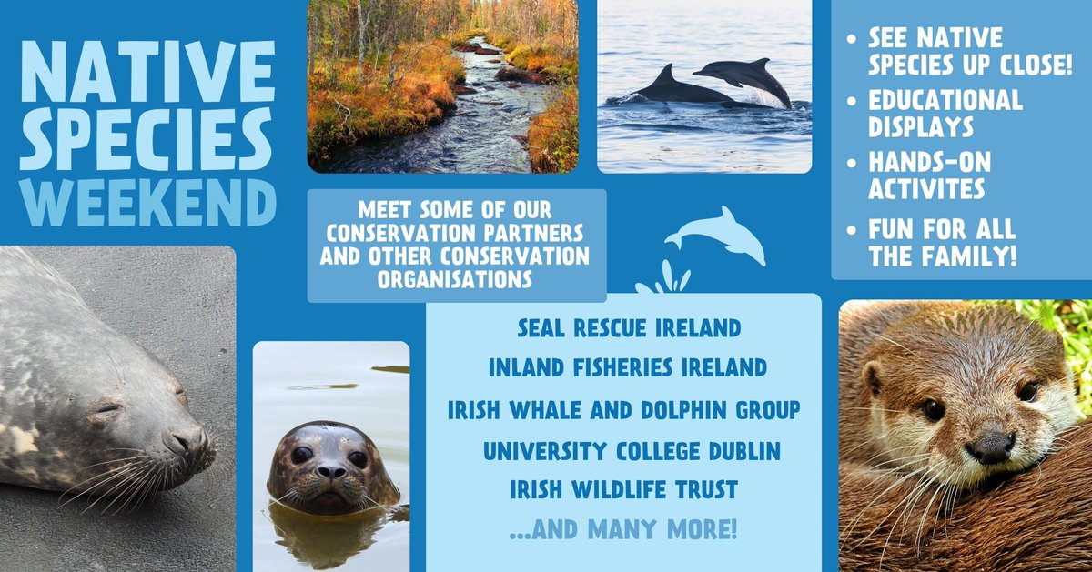 This weekend is Dublin Zoo’s mega Native Species Weekend Event on May 11th and 12th 🎉 Drop a 🦭if you’re going to be there!
