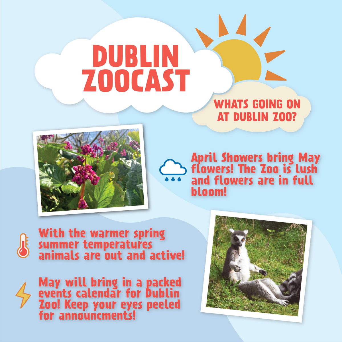 THIS JUST IN: Dublin Zoo is a MUST VISIT as temps begin to rise! ☀️