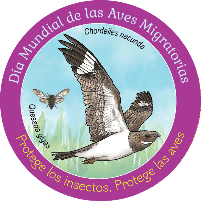 Los insectos y su importancia para las aves migratorias. Estrecha interconexión de la naturaleza #DiaMundialDeLasAvesMigratorias #WorldMigratoryBirdDay #11may geografiaviva-venezuela.blogspot.com/2024/04/los-in…