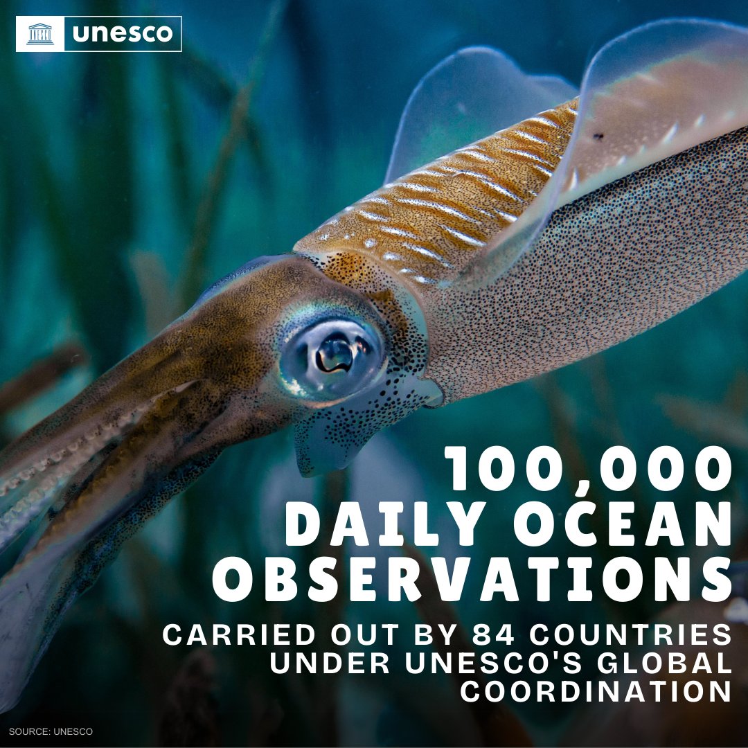 Ocean observation is about understanding the heartbeat of our planet. From monitoring climate change to preserving marine ecosystems, accurate ocean data are key for informed decision-making. unesco.org/en/ocean #OceanDecade #SaveOurOcean