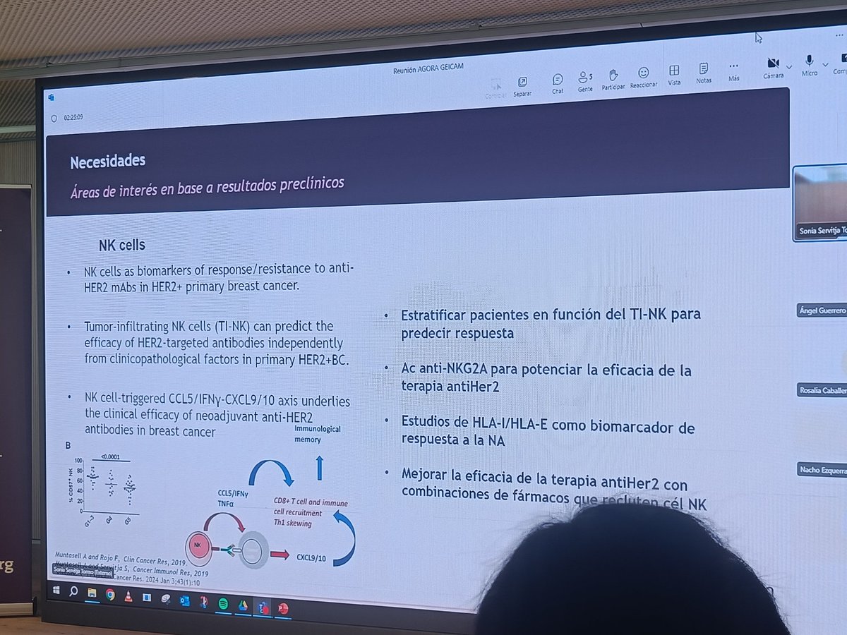 La investigación de GEICAM comienza en nuestros Grupos de trabajo: @SoniaServitja presenta las líneas de investigación en HER2+: exploración de mecanismos de resistencia, identificación de nuevos biomarcadores y dianas terapéuticas y mejora de la toxicidad de fármacos ya