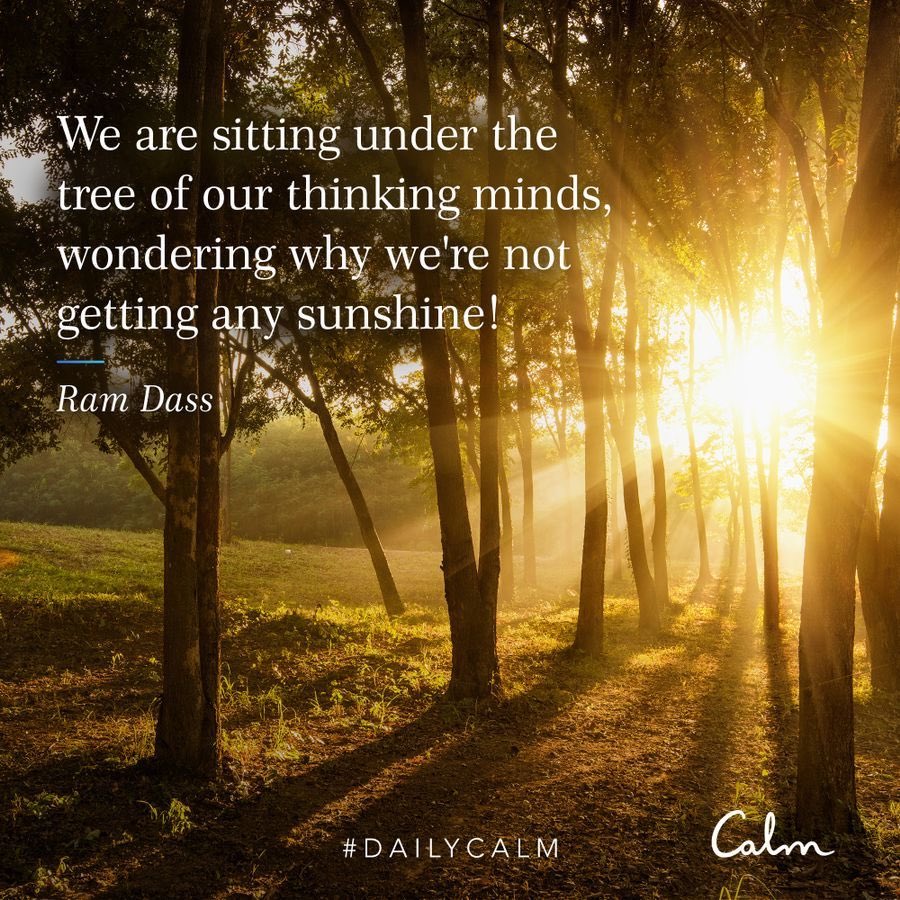 #dailycalm
#selfcare
#tuesdaythoughts