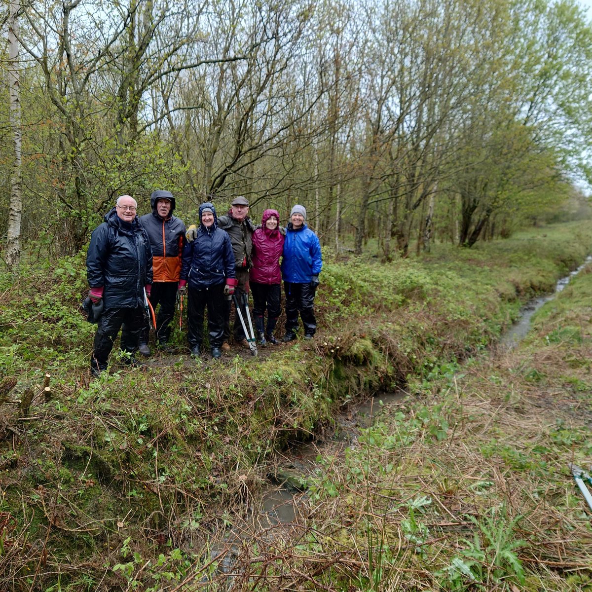 ✨ Our incredible volunteers didn’t let the rain stop them last weekend! Together, we made significant progress in clearing the new growth in the waterways at Rainton Meadows, ensuring open corridors for wildlife while preventing flooding. Get involved 👉 durhamwt.com/volunteer