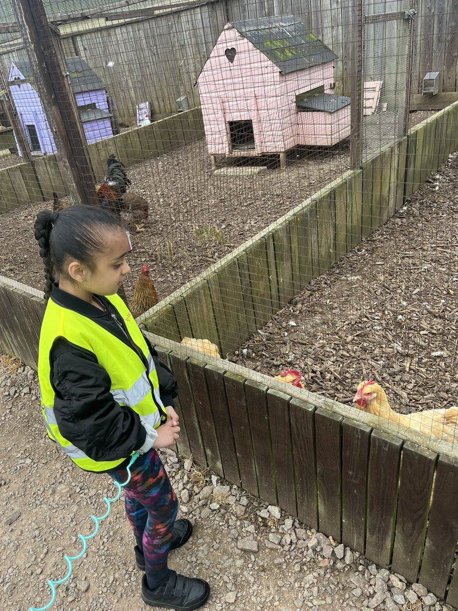 Mrs Clarke KMPA tweet media
