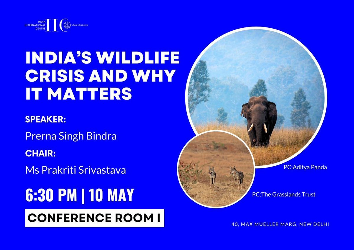 Speaking on #India's #Wildlife Crisis at the @IIC_Delhi in a lecture chaired by  #PrakritiSrivastava #IndianForestService (retd). 
Species like the #LesserFlorican and #GreatIndianBustard pushed to #extinction in our watch; the rapid dissemination of #natural wild habitats;…