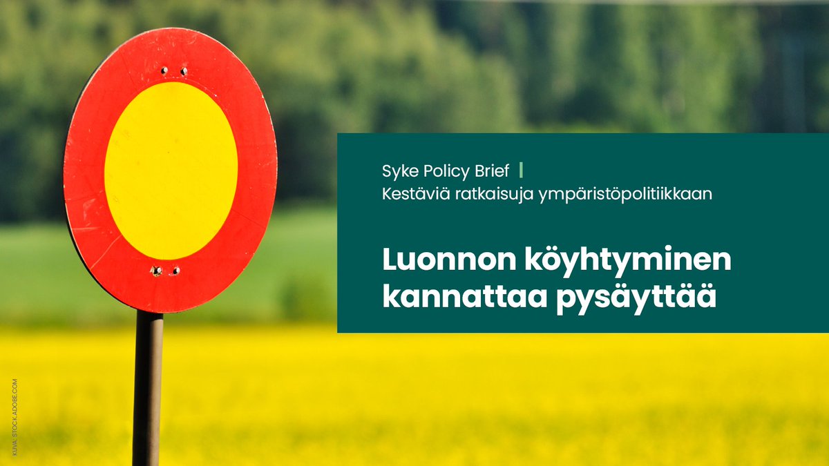 Politiikkasuositus: Luonnon köyhtyminen kannattaa pysäyttää. Liity suositusten esittelyyn Teamsiin klo 15:00 #luontokato #biodiversiteetti #EUvaalit #SykePublication sttinfo.fi/tiedote/701856…