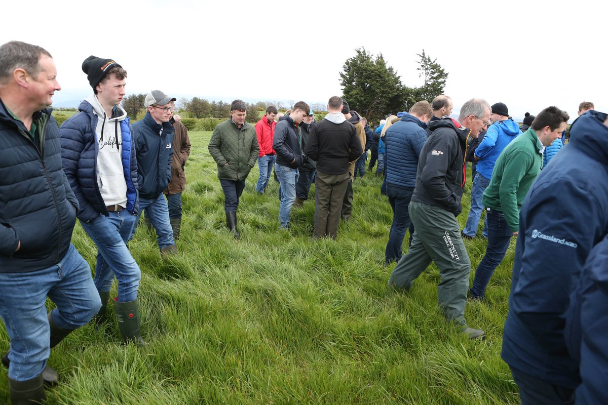 Ulster Grassland Society tweet media