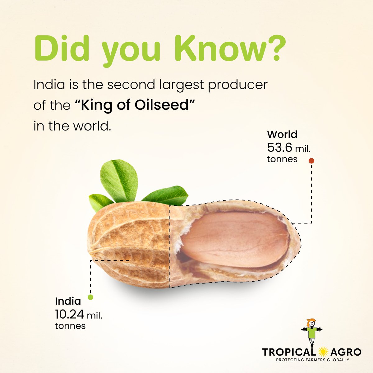#DidYouKnow Facts about Groundnut - The King of Oilseed

#kingofoilseeds #WorldProduction #India #TropicalAgro #Facts #Groundnut