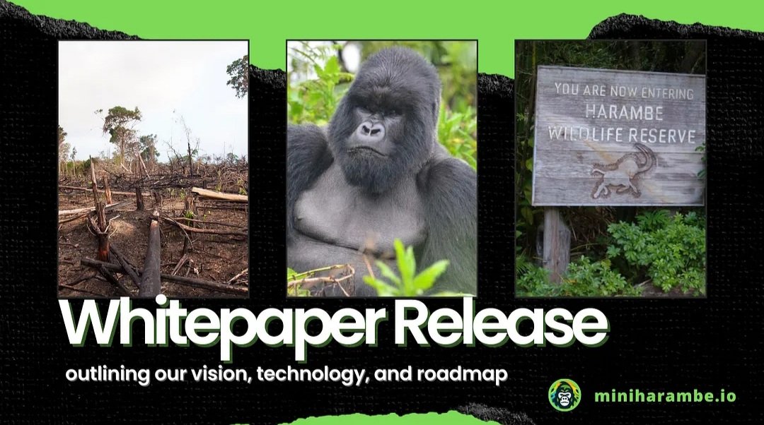 🚀Mini Harambe's Mission🦍

#MHB Mini Harambe is a #memecoin launched in 2022 with a mission to combat deforestation!

They will achieve this mission by donating a portion of their earnings to the Dian Fossey Gorilla Fund, an organization dedicated to the protection of gorillas