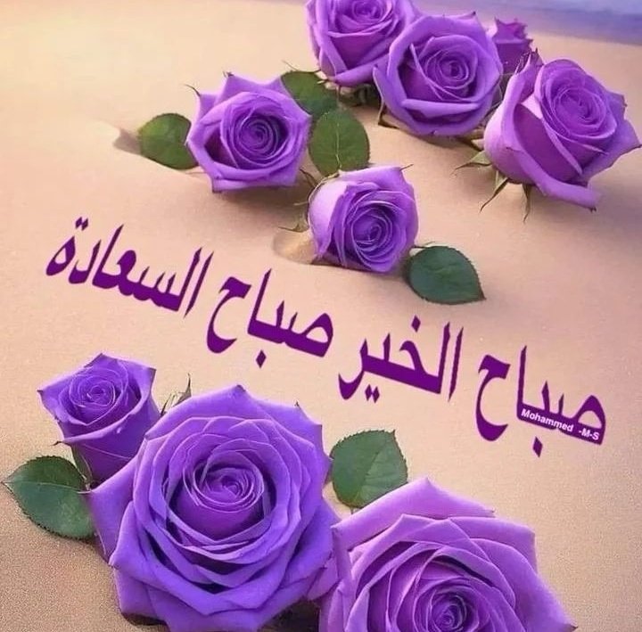 السلام عليكم  .. كيفكم وكيف اصبحتوا ايها الاصدقاء ✋️