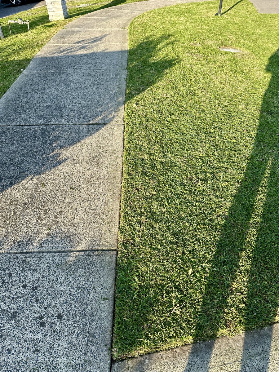 rapidly becoming lawncare-pilled when my neighbour complimented my edge work.