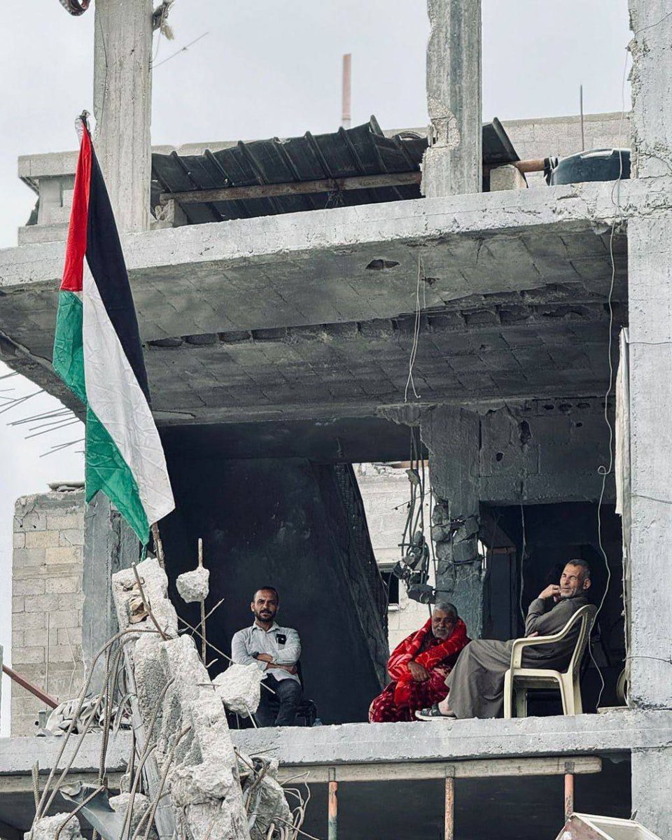 Selamünaleyküm Hayırlı sabahlar GİTMİYORUZ !! 🇵🇸 Filistin Özgür Olacak ✌🇵🇸 Filistin Özgür Olacak ✌🇵🇸 #Rafah / Tel Aviv / Mısır / Doktor / #Netanyahu / Newyork / #Israel / Yunan