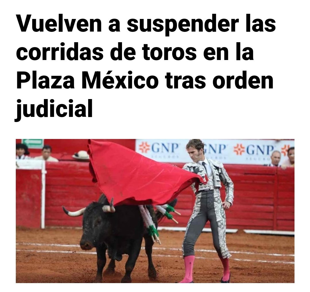 ¡Buenos días con esta última hora!

Una jueza ha vuelto a suspender la tortura taurina en la Plaza México, en CDMX.

📰latinus.us/2024/05/06/vue…