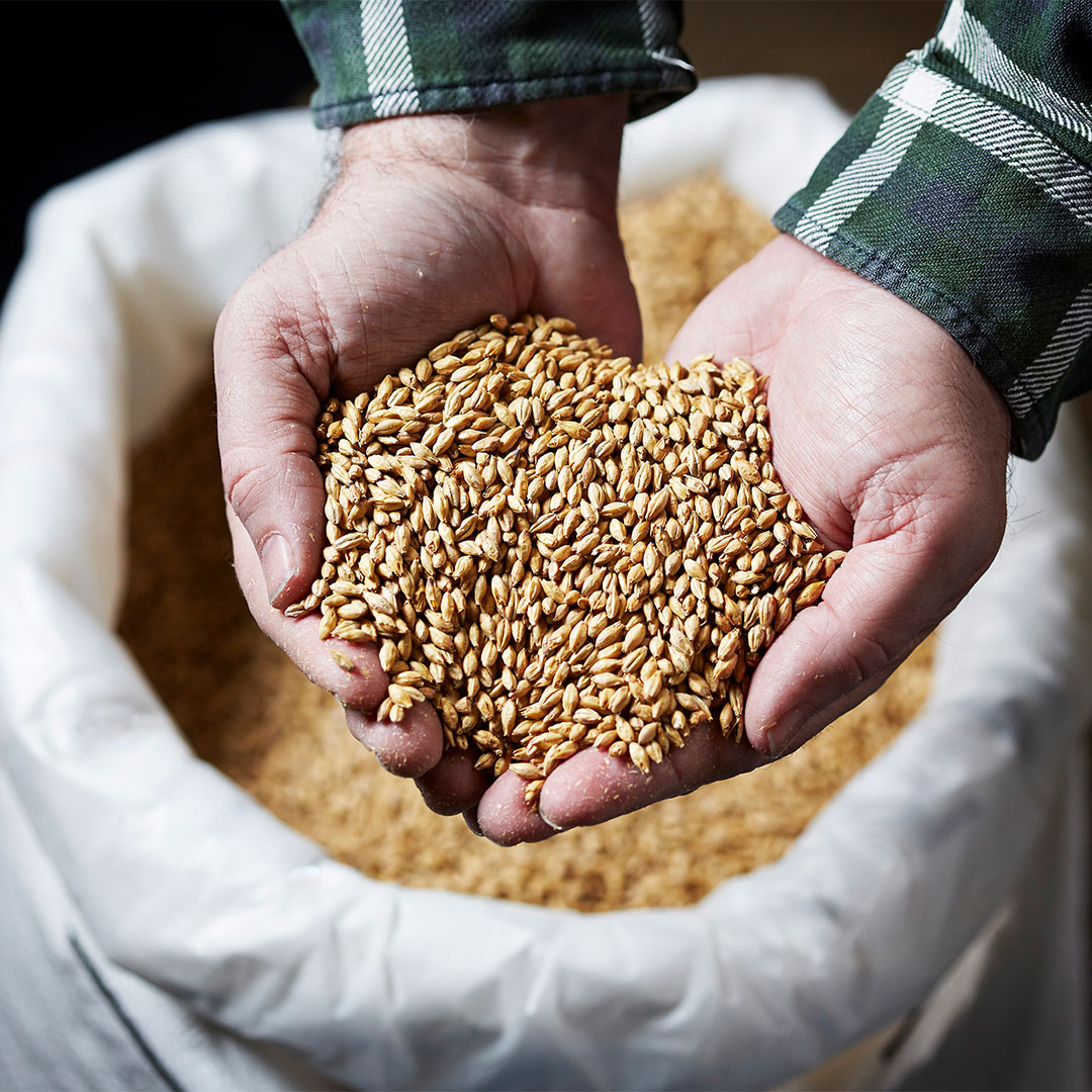 In recent years, the brewing industry has witnessed a remarkable shift towards sustainability and natural ingredients. Read our new blog: zurl.co/IhXN 
#TheSwaen #MakingMaltACraft #Malting #Malt #Malthouse #Brewery #FamilyBusiness #Organic #Biological #Bio
