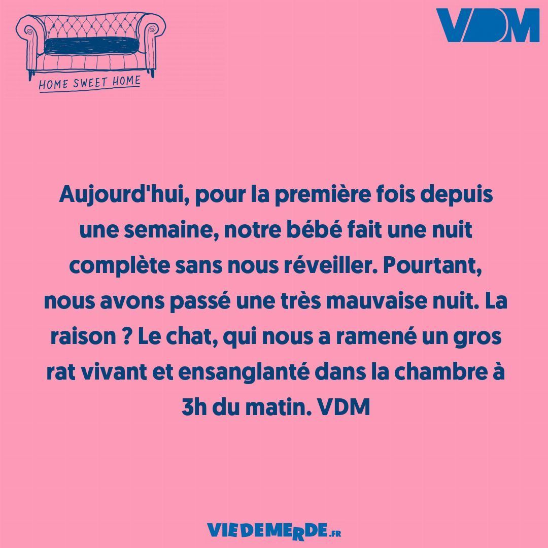 Partagez vos VDM ici : viedemerde.fr/?submit=1 et/ou téléchargez l'appli VDM officielle - viedemerde.fr/app