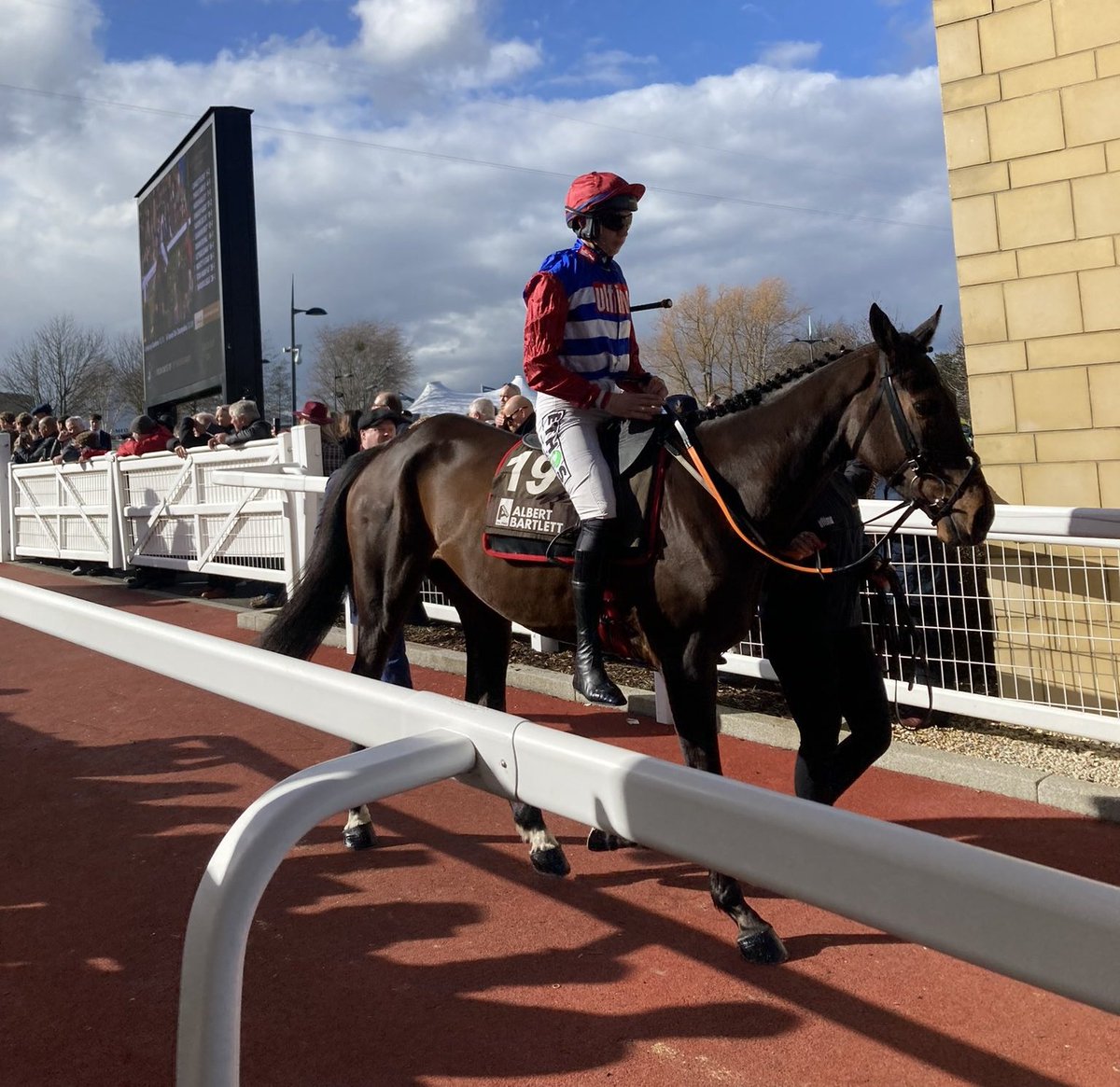 👍 THREE CARD BRAG (146) is one of the highest rated maidens over fences and he sets a decent standard in the staying novice chase division. 👊 The National Hunt Chase and the Grand National look like obvious spring targets for him. (📷: @Crazyg07231486)